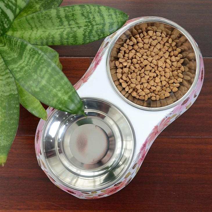 Cat Bowls Double For Indoor Cats